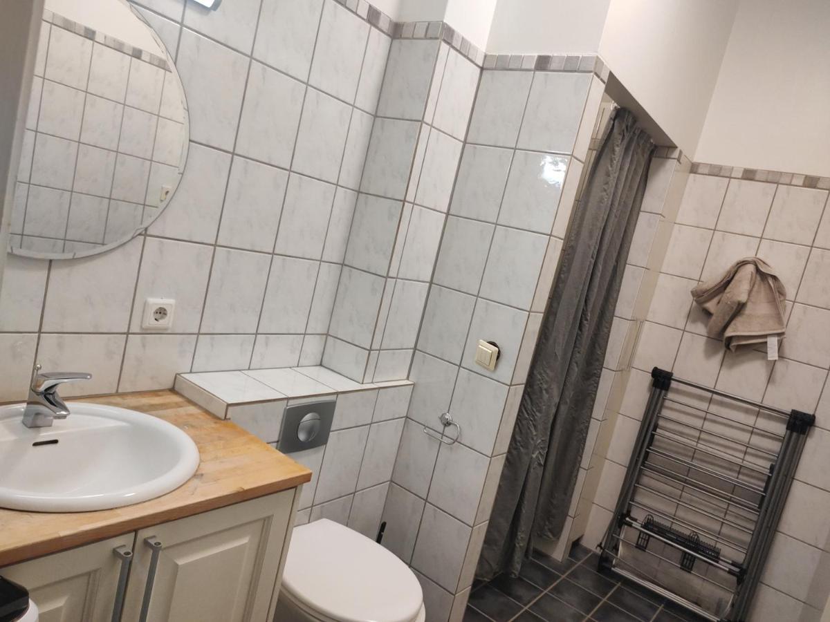 Dtown Apartment For 2-3 Persons 雷克雅維克 外观 照片