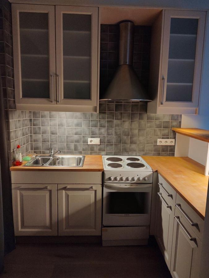 Dtown Apartment For 2-3 Persons 雷克雅維克 外观 照片